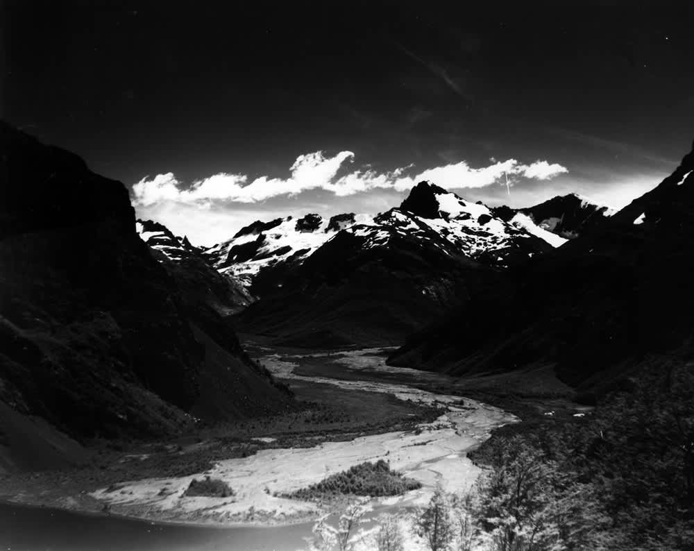 Tommy Nease, Jeinimeni, 2016