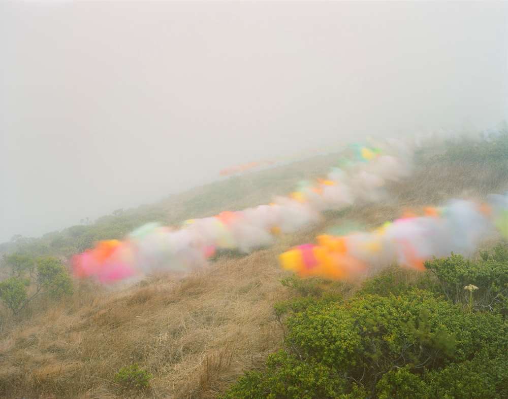 Thomas Jackson, Tulle no. 13, Stinson Beach, California, 2020