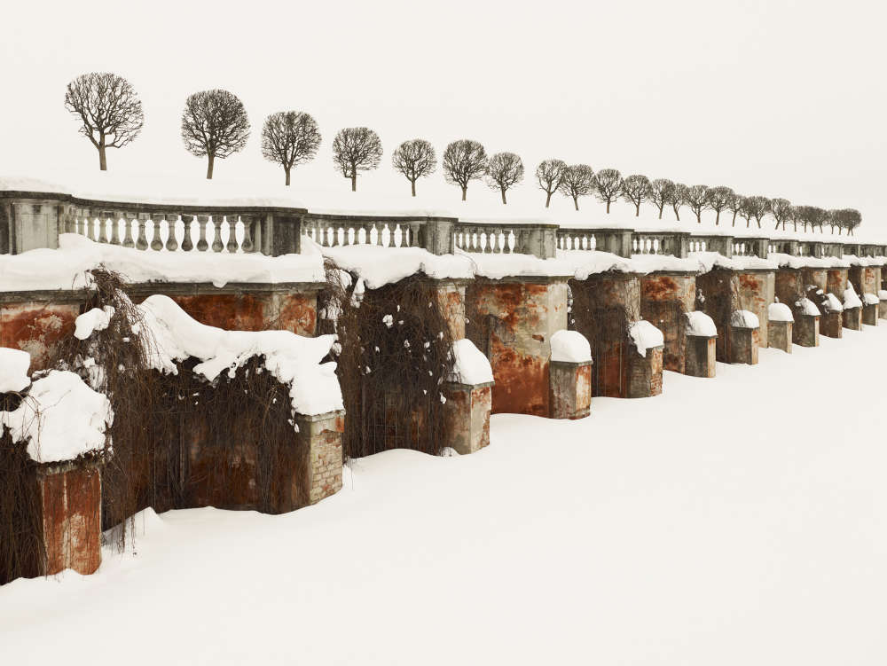 Josef Hoflehner, 28 Trees, Russia, 2010