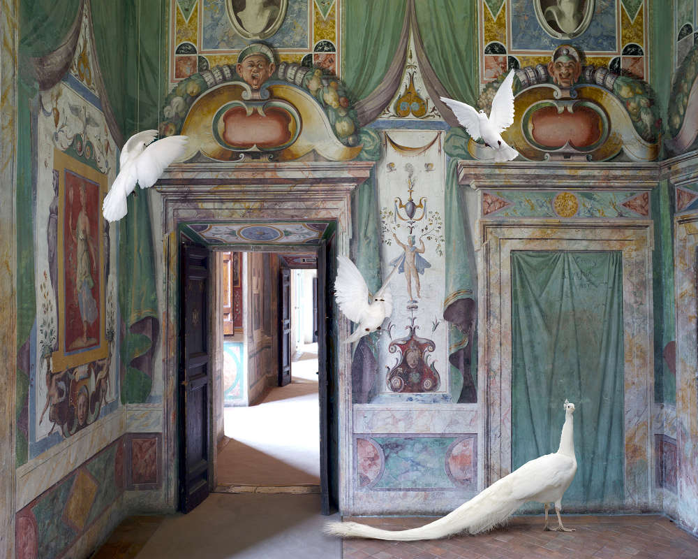Karen Knorr, Immaculate Conception, Villa D'Este, 2015