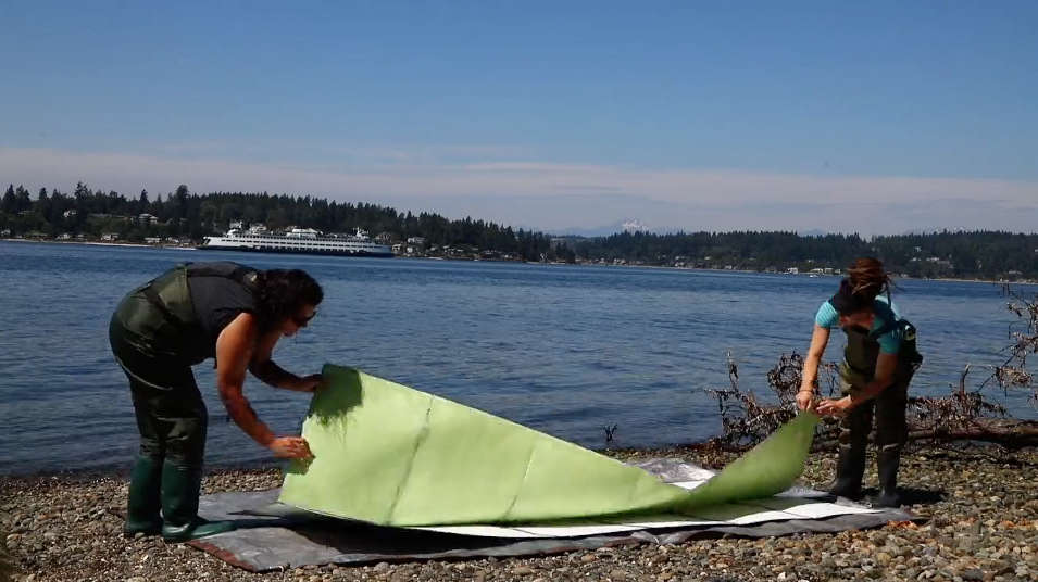 Meghann Riepenhoff, Meghann Riepenhoff on Bainbridge Island