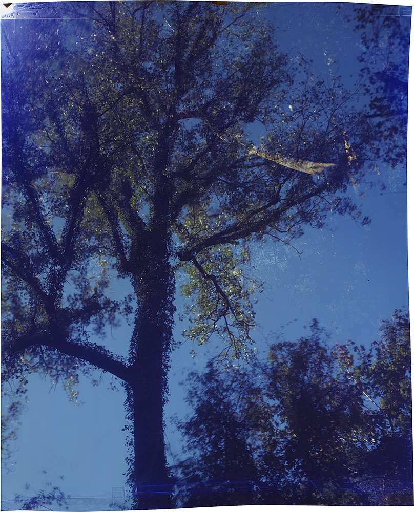 John Chiara, Commerce Cutoff at Mississippi, 2017