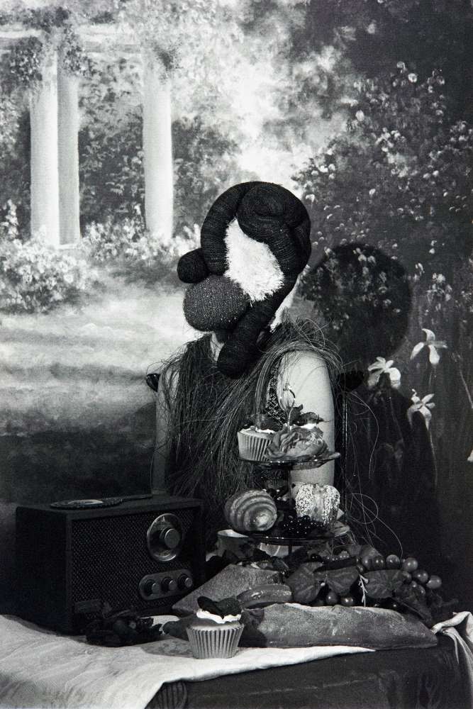 Chris Millsapp, Steadfast