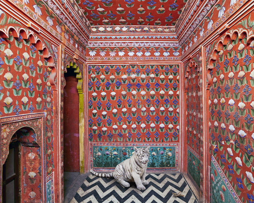Karen Knorr, The Locust Eater, Udaipur City Palace, 2020