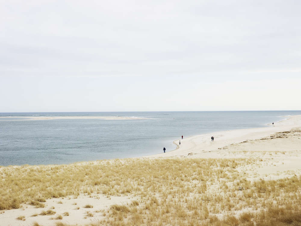 Josef Hoflehner, Beach Walk, Cape Cod, Massachusetts, 2014
