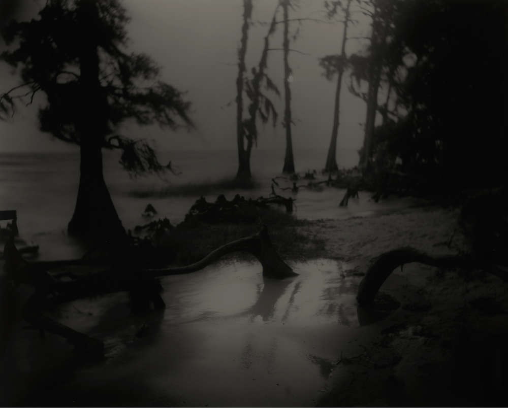 Sally Mann, Deep South, Untitled (Bones II), 1998