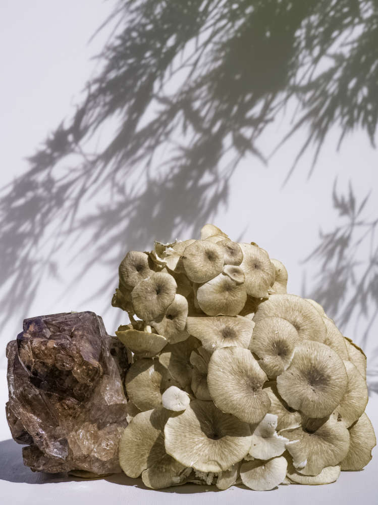 Carolyn Carr, Quartz Mushroom Maple , 2018