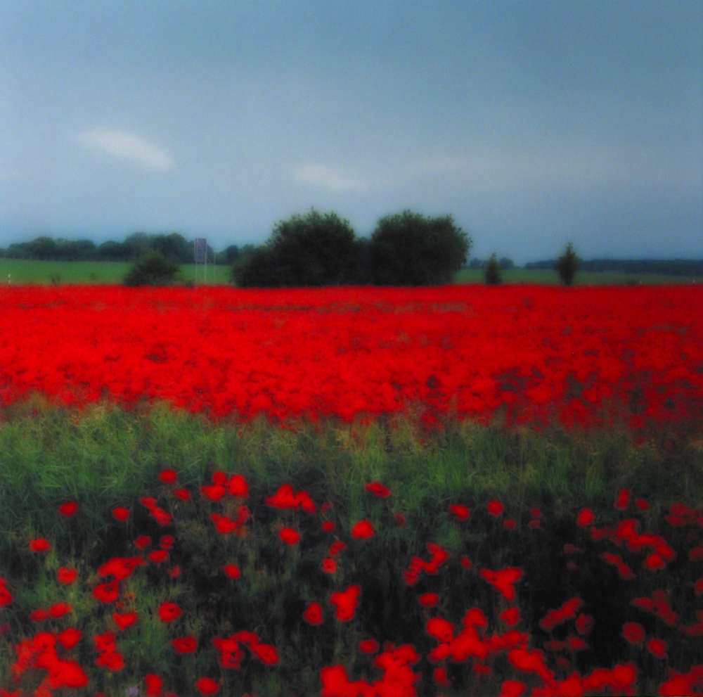 Lynn Geesaman, Rugen Island, Germany, (6-93-5c-4), 1993