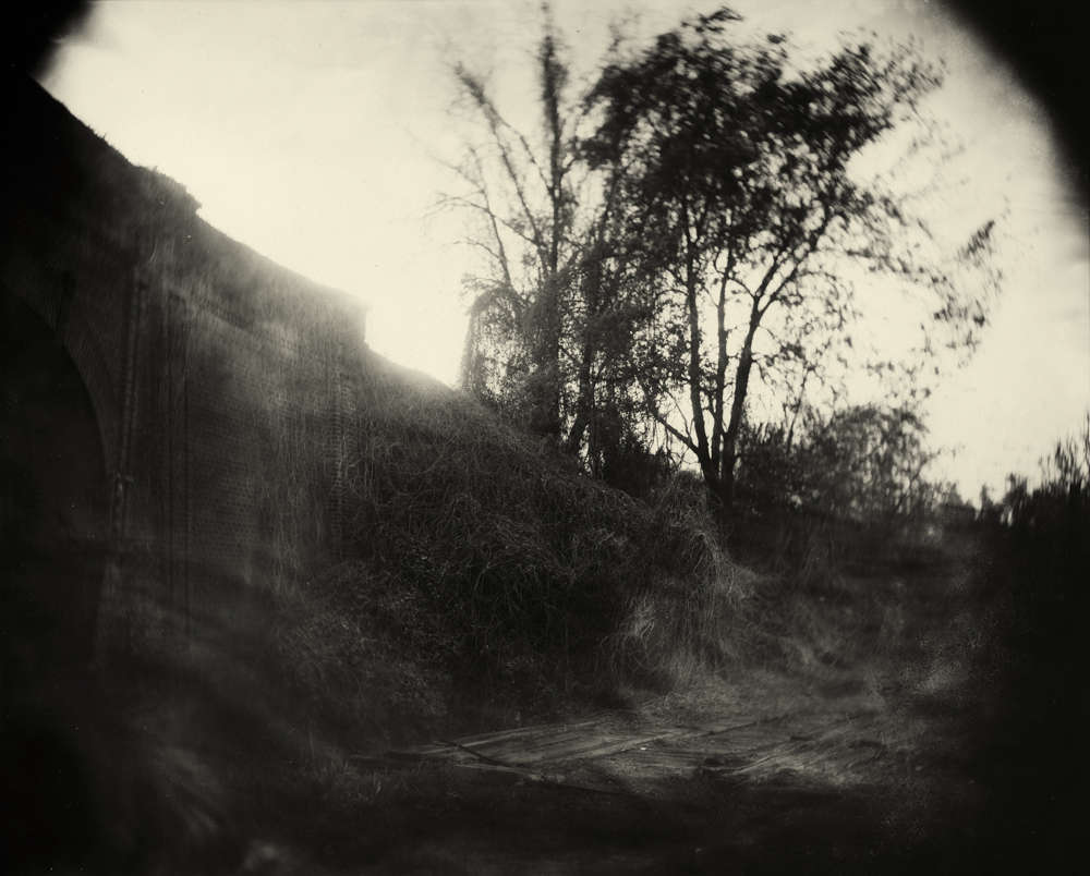 Sally Mann, Georgia Untitled (Vines), 1996