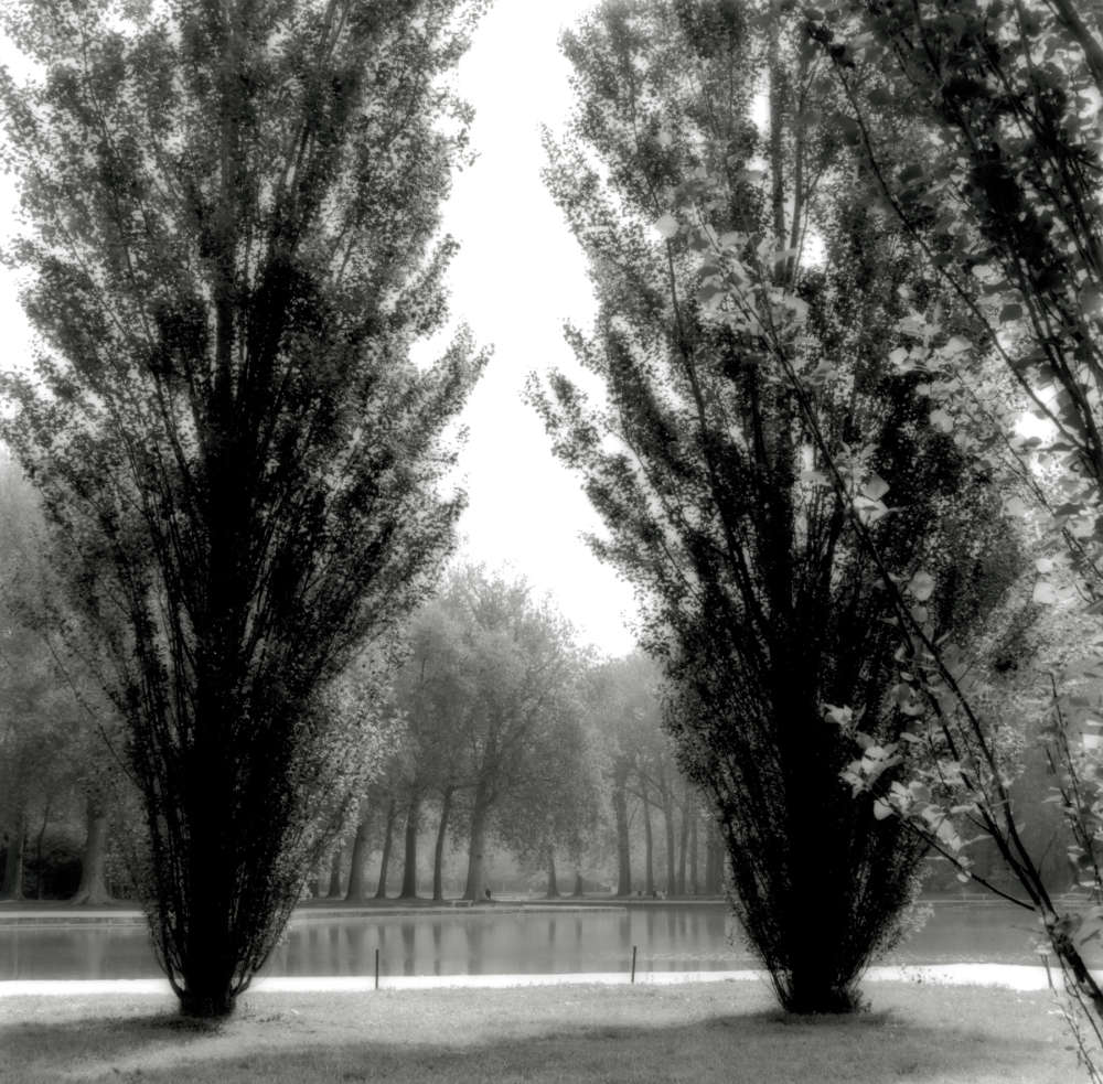 Lynn Geesaman, Parc de Sceaux, France (4-06-11-8), 2007