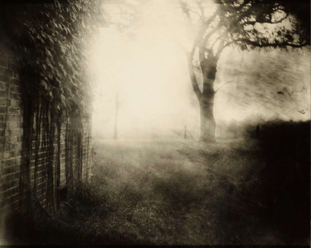 Sally Mann, Untitled (Deep South #41), 1998