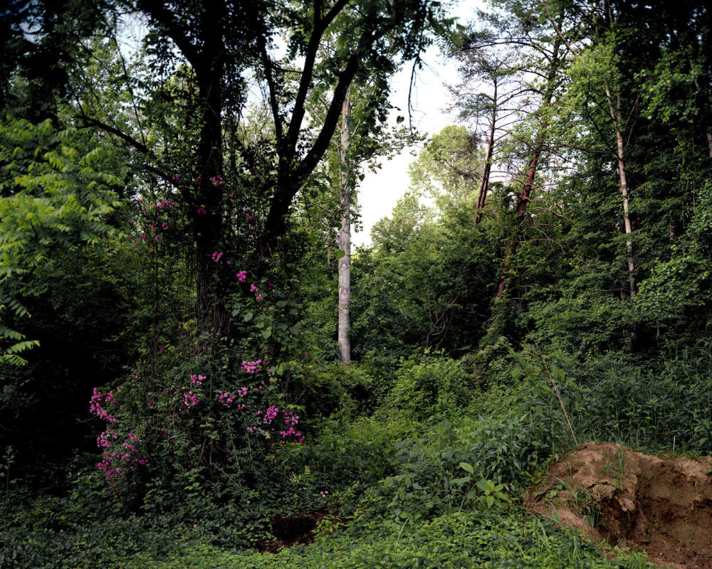 Angela West, My 33rd Spring, #2 (chaos), 2003