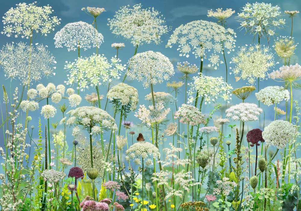 Ruud van Empel | Jackson Fine Art Ruud van Empel | Jackson Fine Art