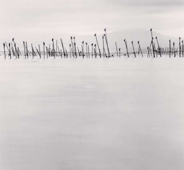 Michael Kenna, Birds on Poles, Biwa Lake, Honshu, Japan, 2001