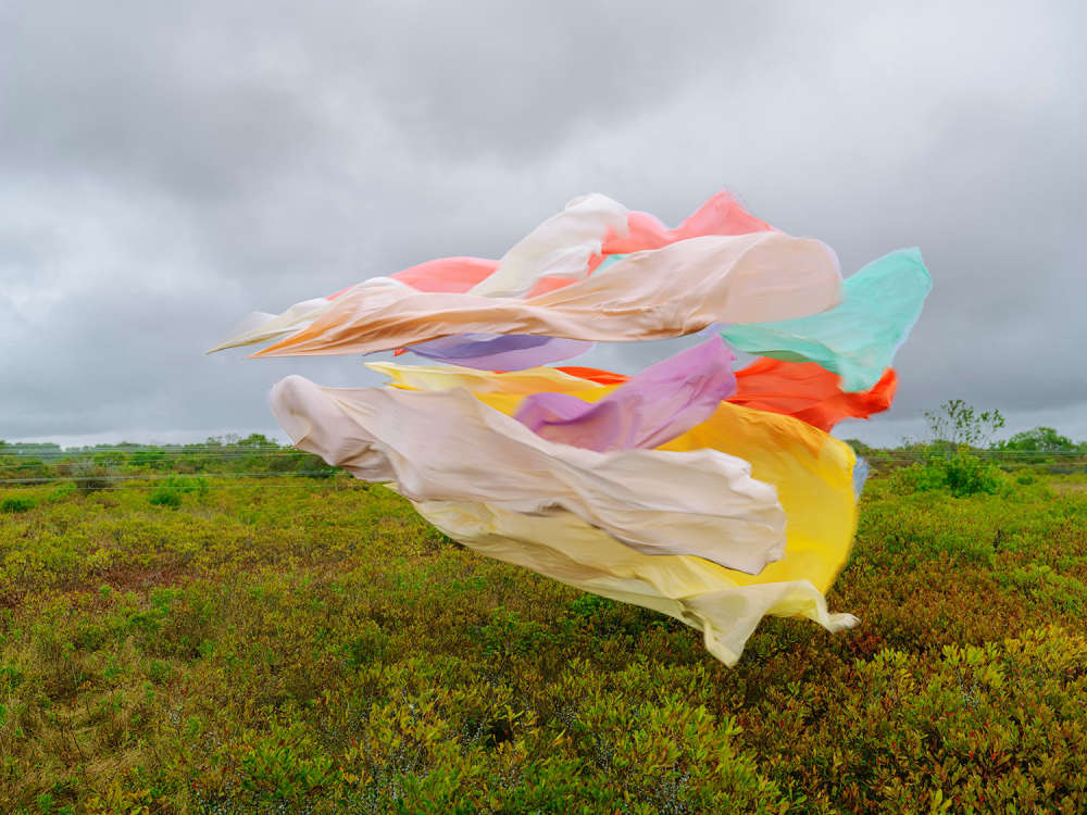 Thomas Jackson, Silk no. 14, Nantucket, Massachusetts, 2025