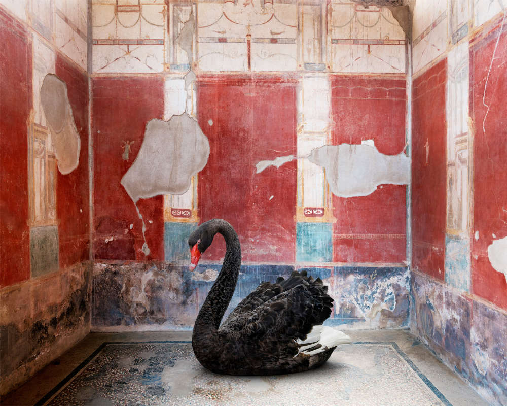 Karen Knorr, Leda's Seduction, House of the Red Walls, Pompeii, 2023