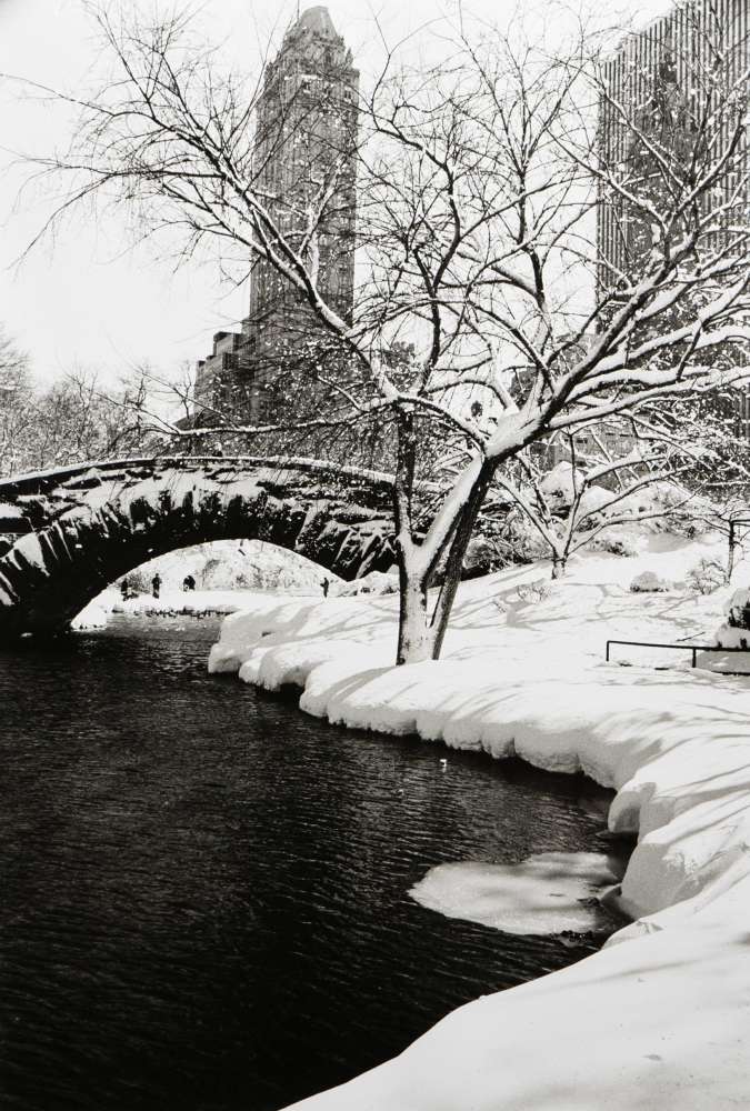 Alfred Eisenstaedt, Central Park After Snow Storm, NYC, 1959