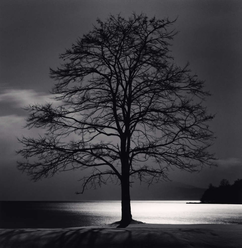 Michael Kenna, Toya Lake Tree, Sobetsu, Hokkaido, Japan, 2009