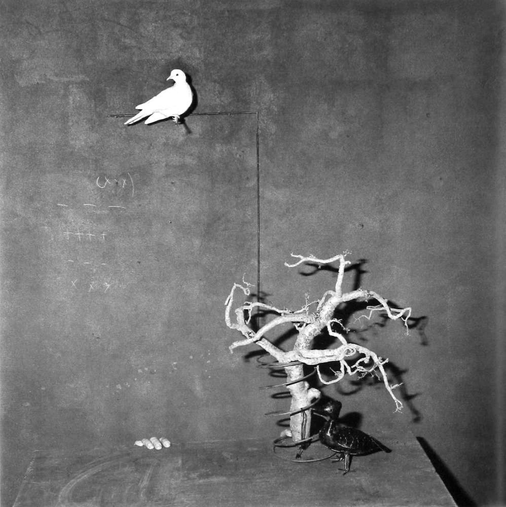 Roger Ballen, Trap, 2003