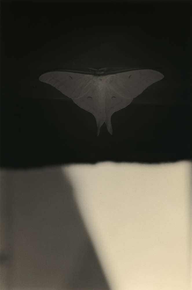 Yamamoto Masao, Kawa=Flow #1597