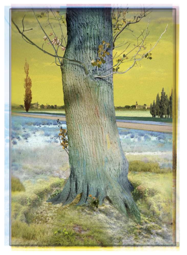 Ruud van Empel, Van Gogh #4, 2020