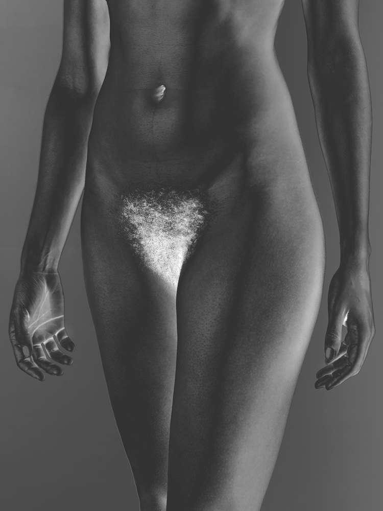 Mona Kuhn, Bushes 03, 2018