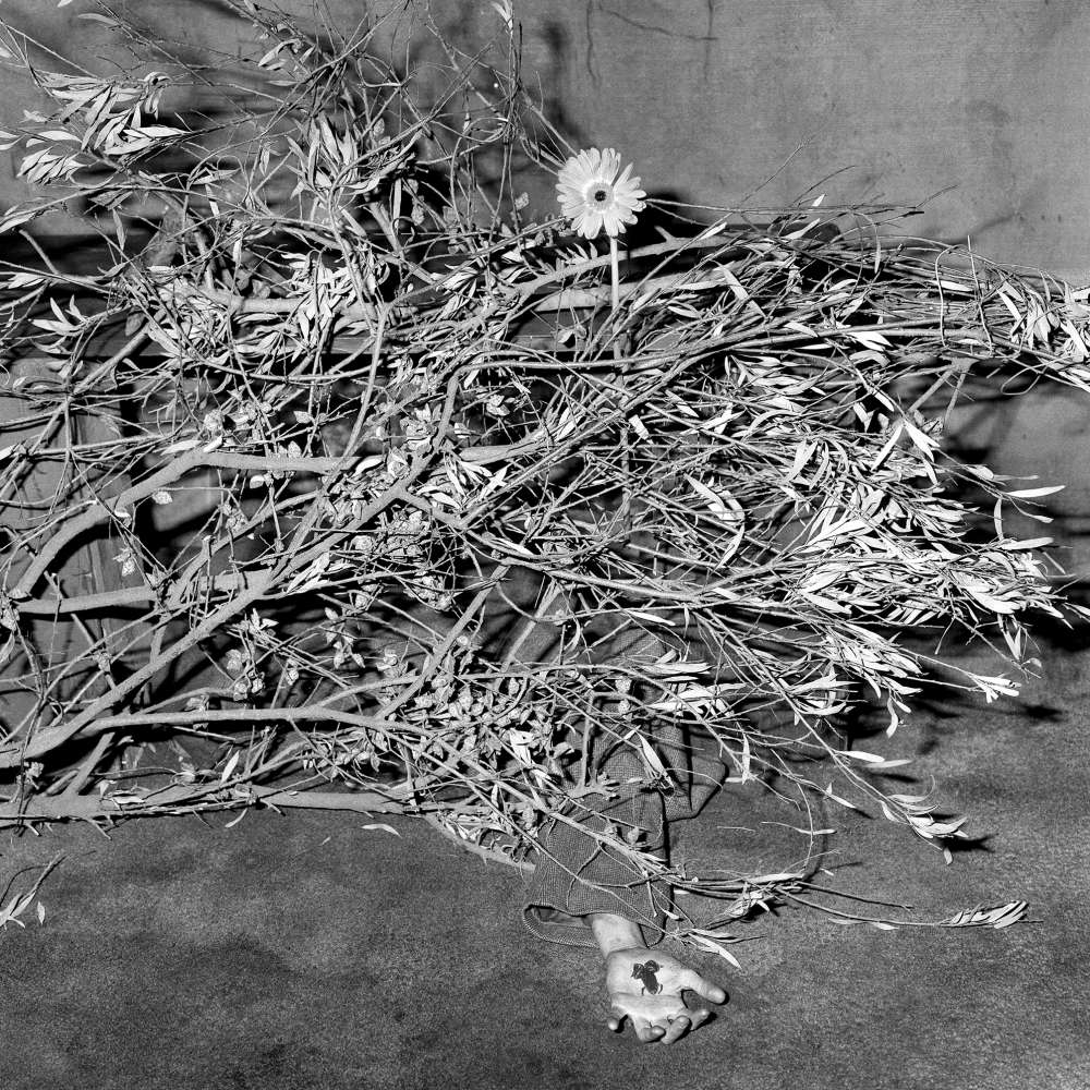 Roger Ballen, Underneath, 2005