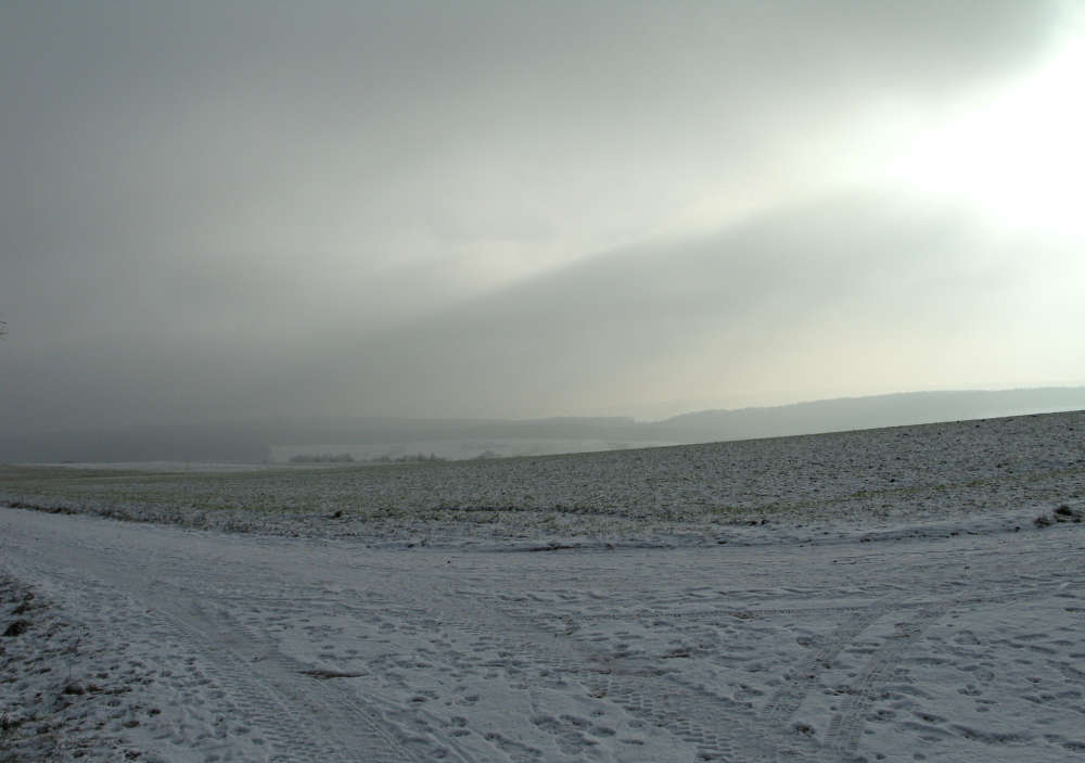 Elton John AIDS Foundation Photography Portfolio One, Thomas Struth: Odenwald, 2006