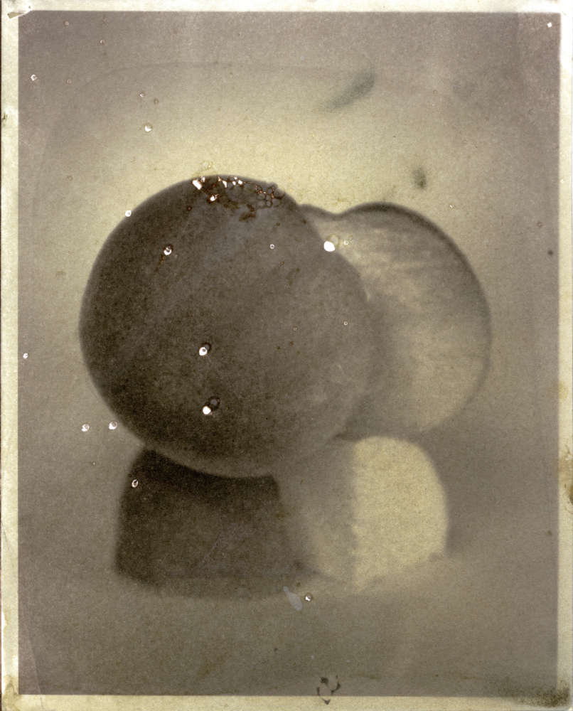 Matthew Brandt, Peaches, 5B, 2017