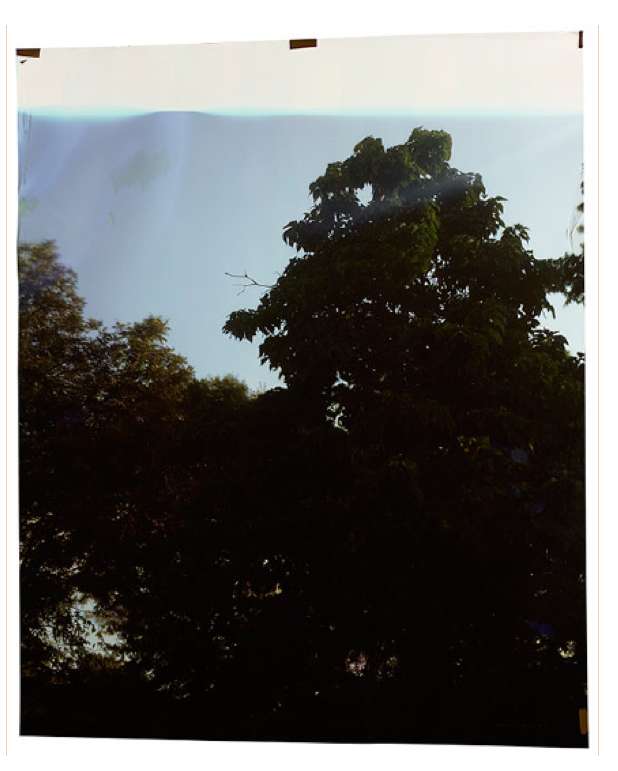 John Chiara, Carter at Seven Chimneys, 2014