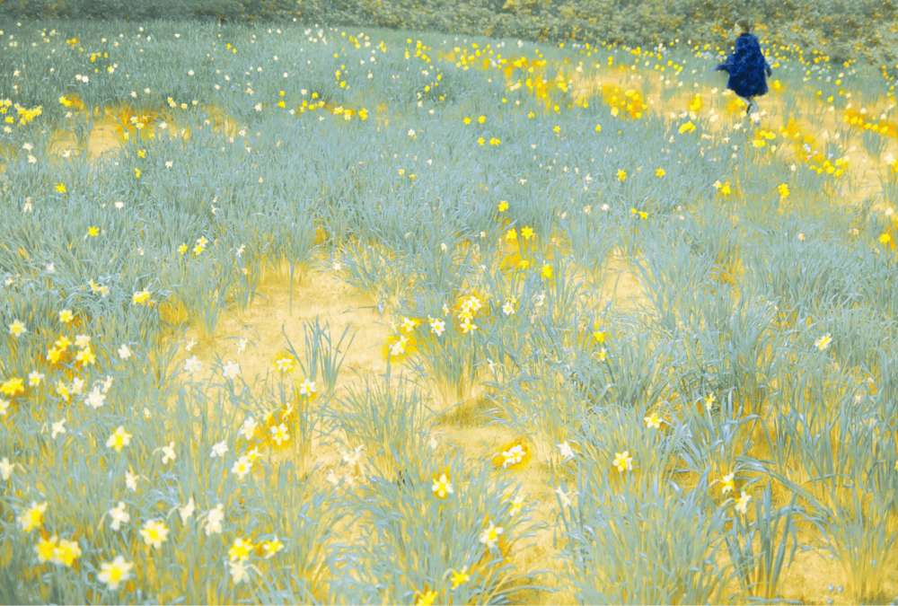 Erik Madigan Heck, Untitled