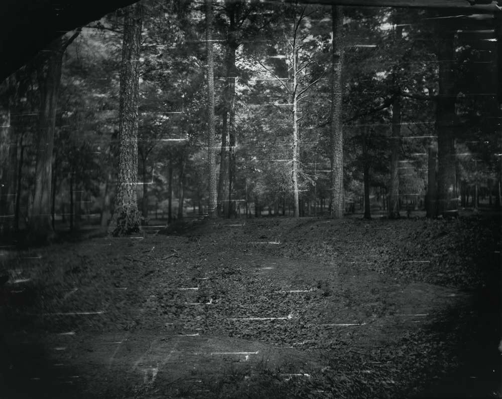 Sally Mann, Landscape #27 (from the Battlefield), 2002