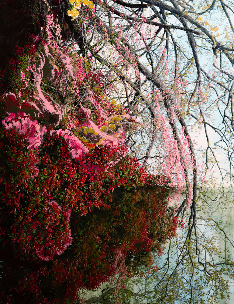 Angela West, Never, my love…, 2024