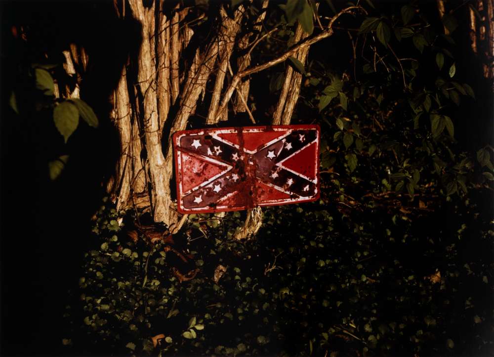 William Eggleston, Untitled (Rebel Flag License Plate on Tree), 1973