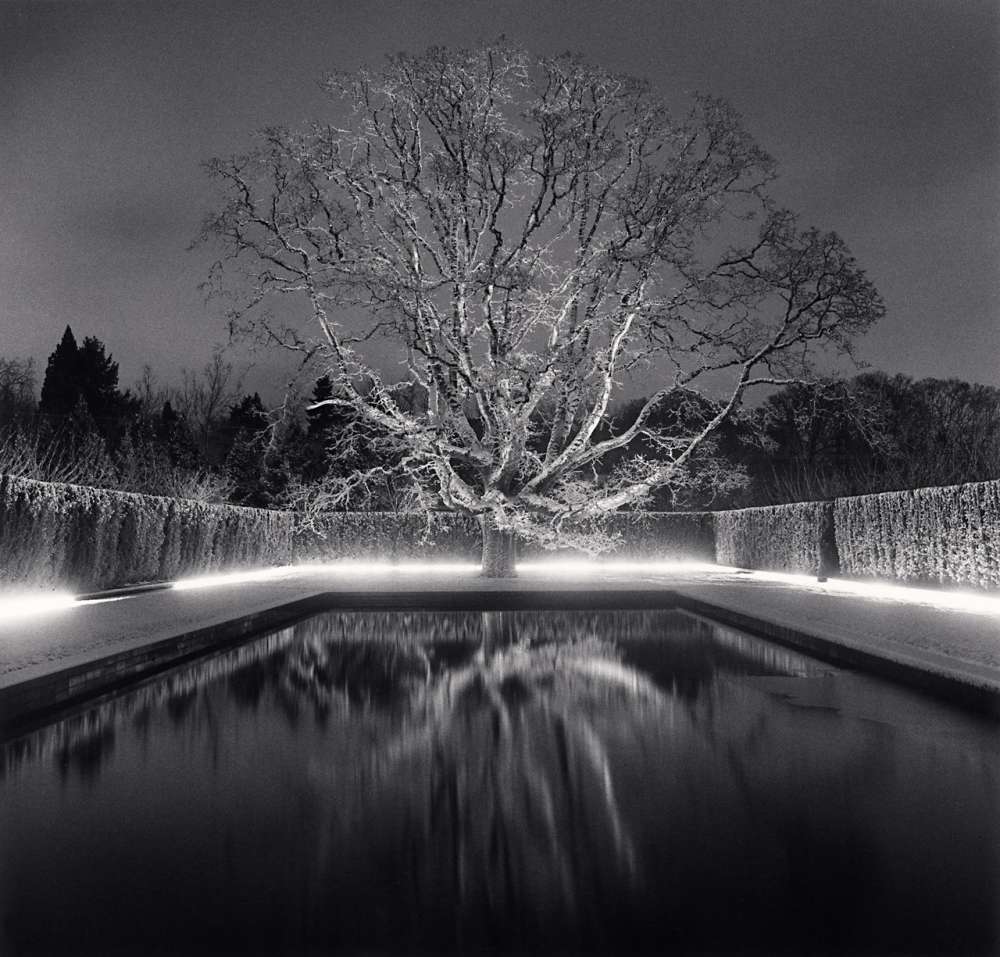 Michael Kenna, Grandfather Oak, Study 59, Beaverton, Oregon, USA, 2021