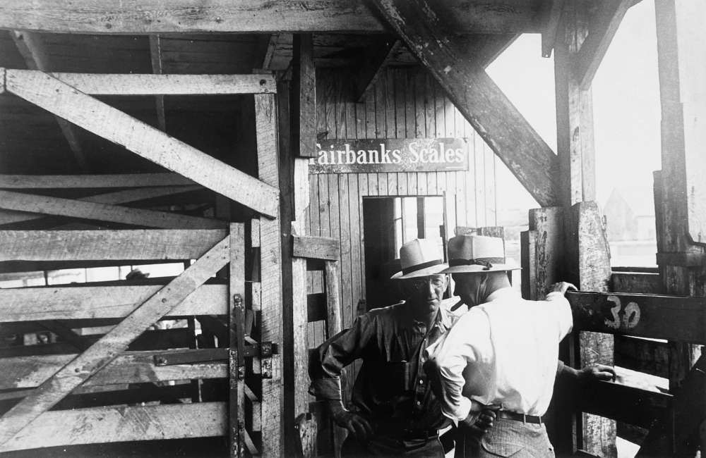 Ben Shahn, Pens at auction. Pickaway Livestock Cooperative Association, central Ohio, 1938