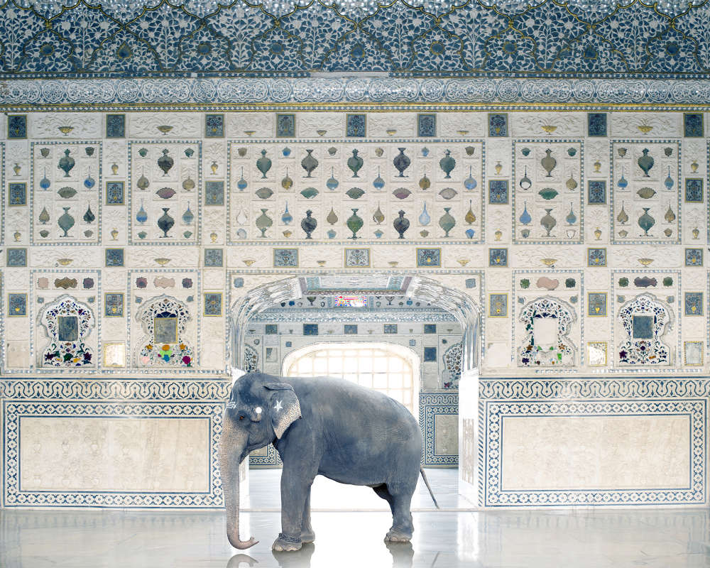 Karen Knorr, Temple Servant, Amber Fort, Jaipur, 2014