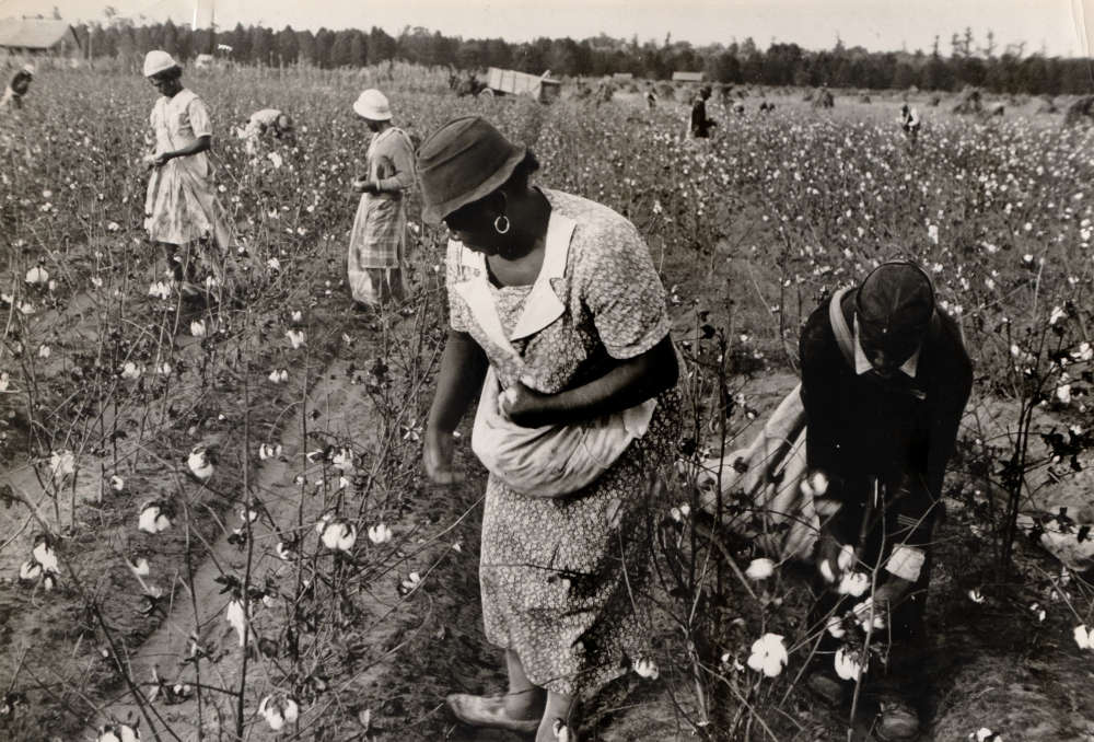 Ben Shahn, Cotton Pickers, Pulaski County, Arkansas, 1935