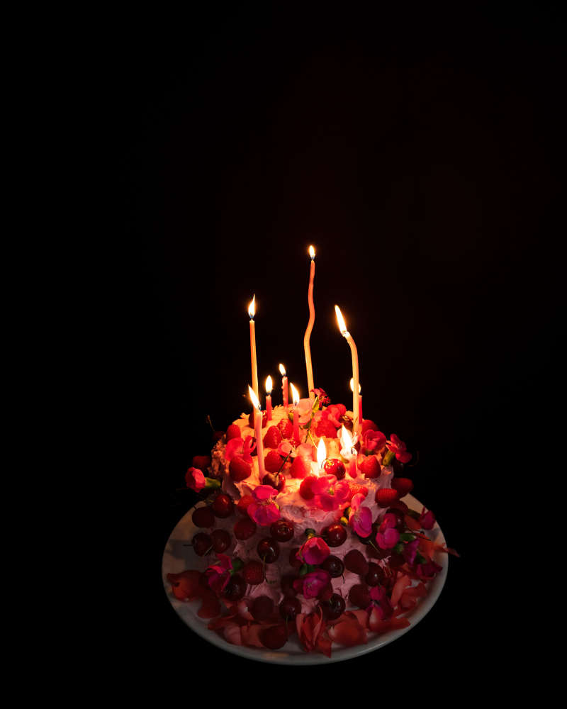 Cig Harvey, The Red Cake, Rockport, 2023