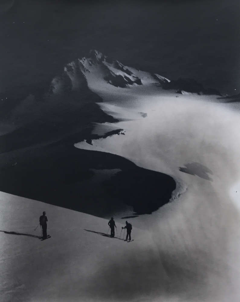 Tommy Nease, Dakobed, 2017