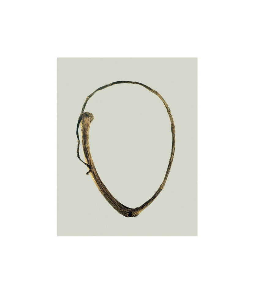 Elton John AIDS Foundation Photography Portfolio Two, Ed Ruscha: Twig, 2011