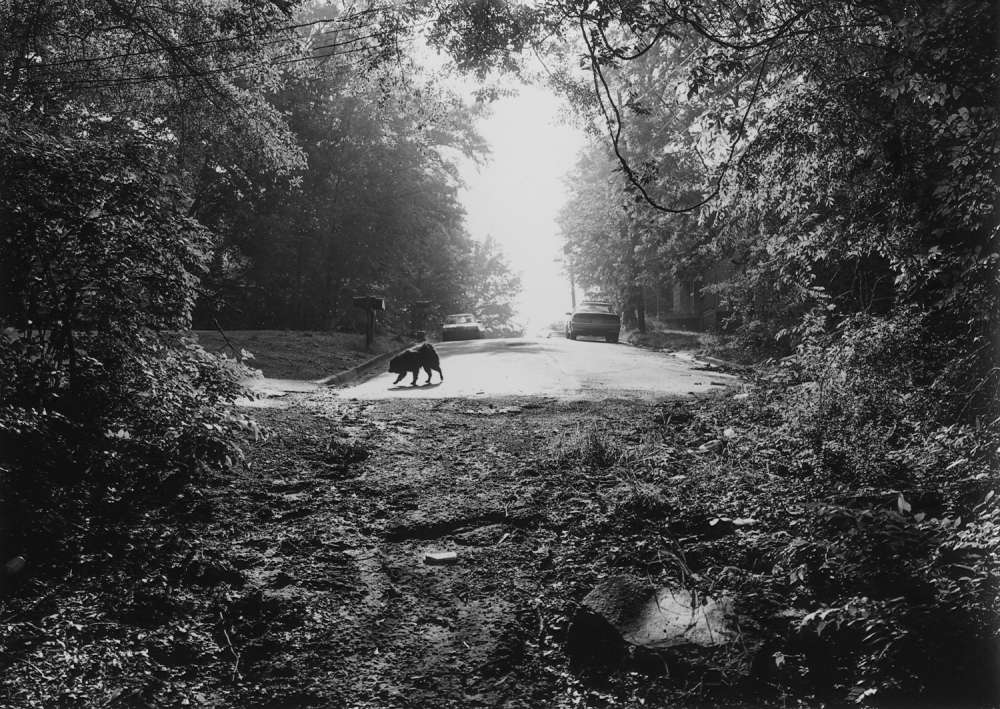 Mark Steinmetz, Athens, Georgia, 1997