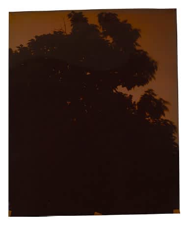 John Chiara, Seven Chimneys at Carter, 2014