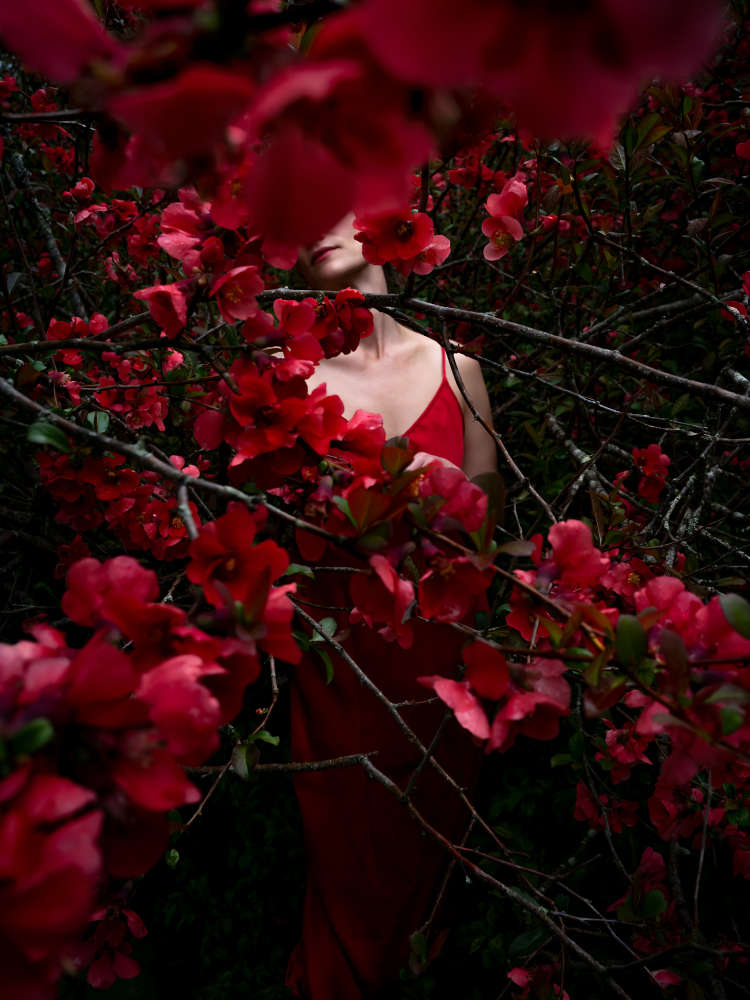 Cig Harvey, Quince, (Ashley), Hope, 2025