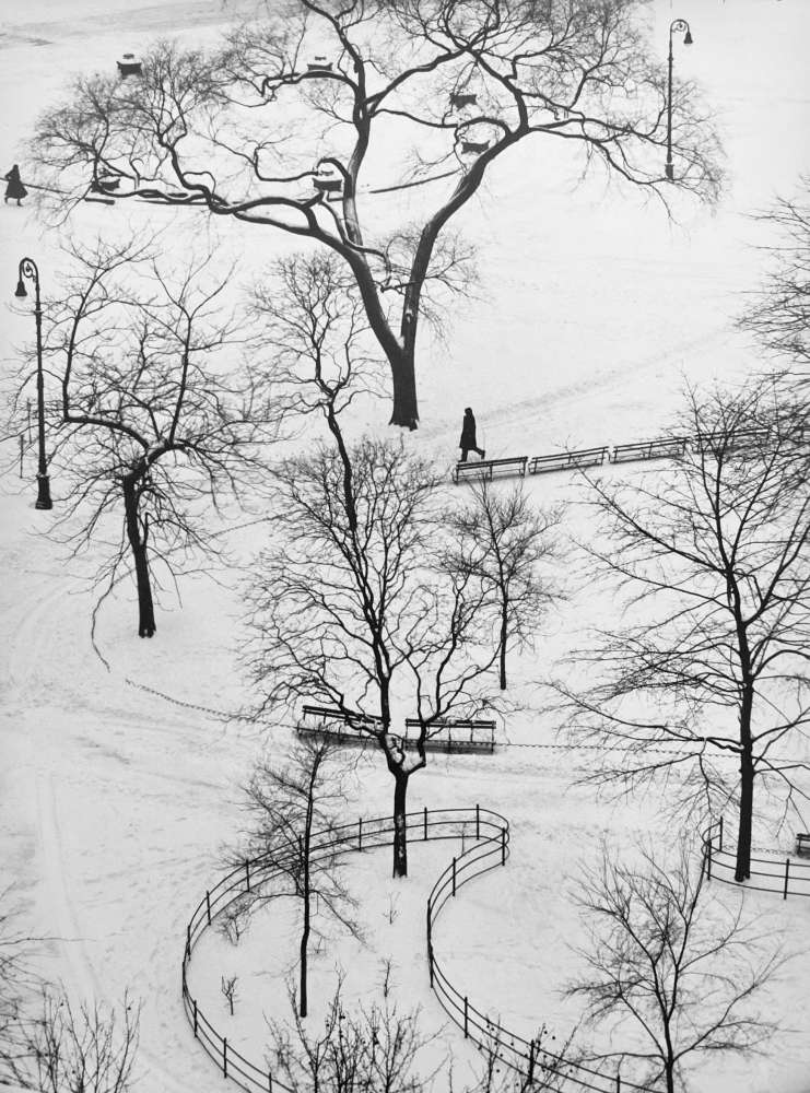 André Kertész, Washington Square, January 9, 1954