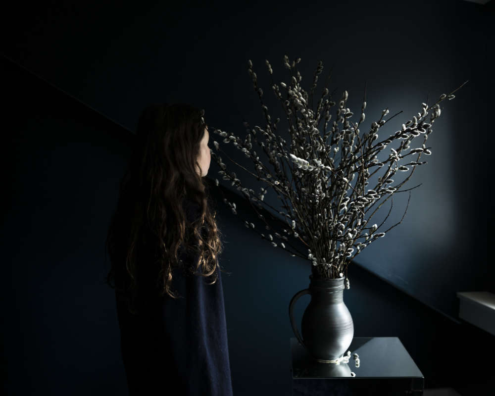 Cig Harvey, Pussy Willow, 2020