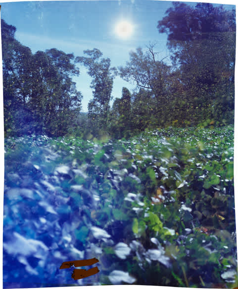 John Chiara, Star Landing Road at Liberty Hill, 2017