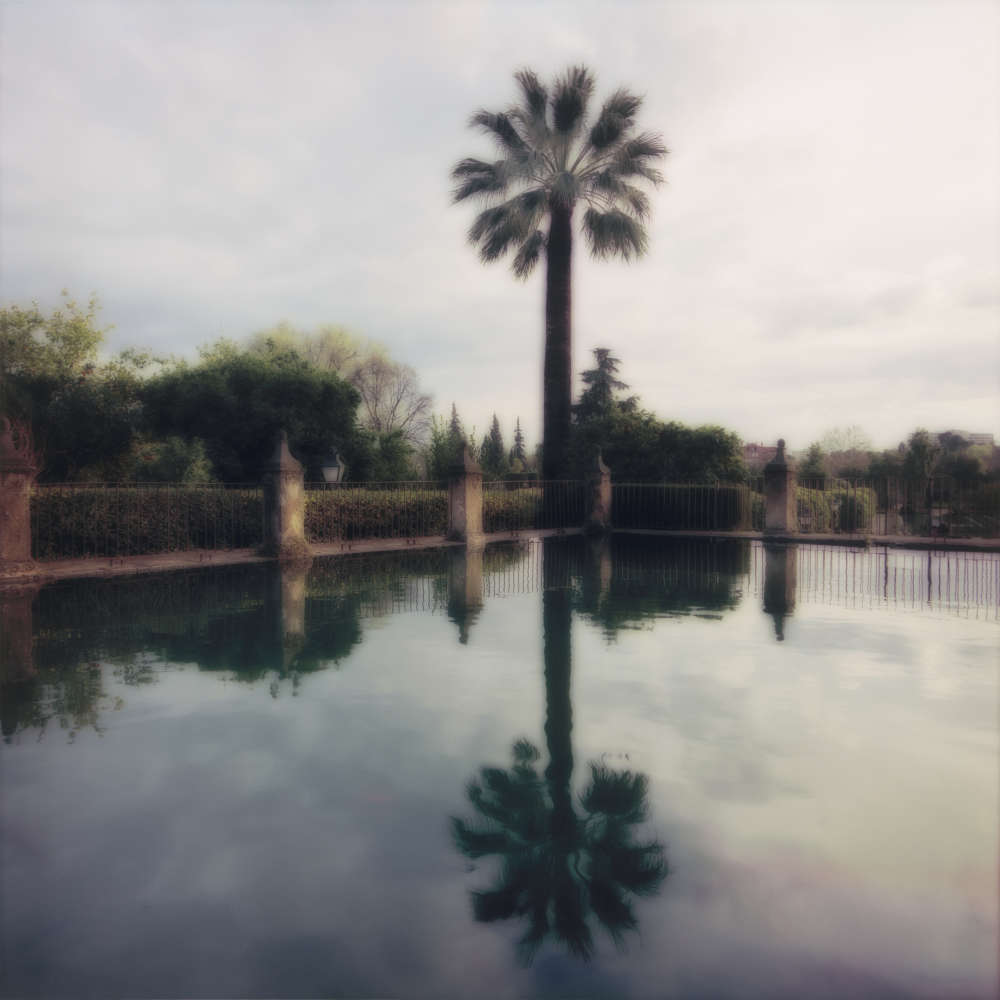 Lynn Geesaman, Alcazar, Cordoba, Spain, (3-02-37c-90), 2002