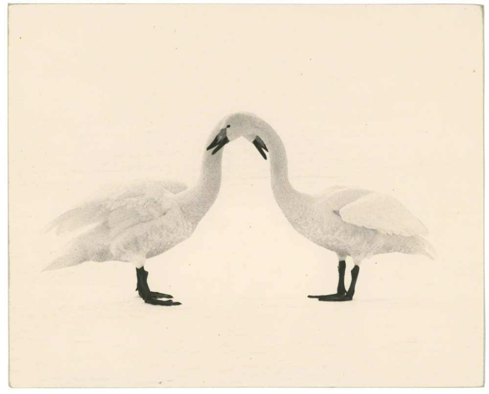 Yamamoto Masao, Kawa=Flow #1658