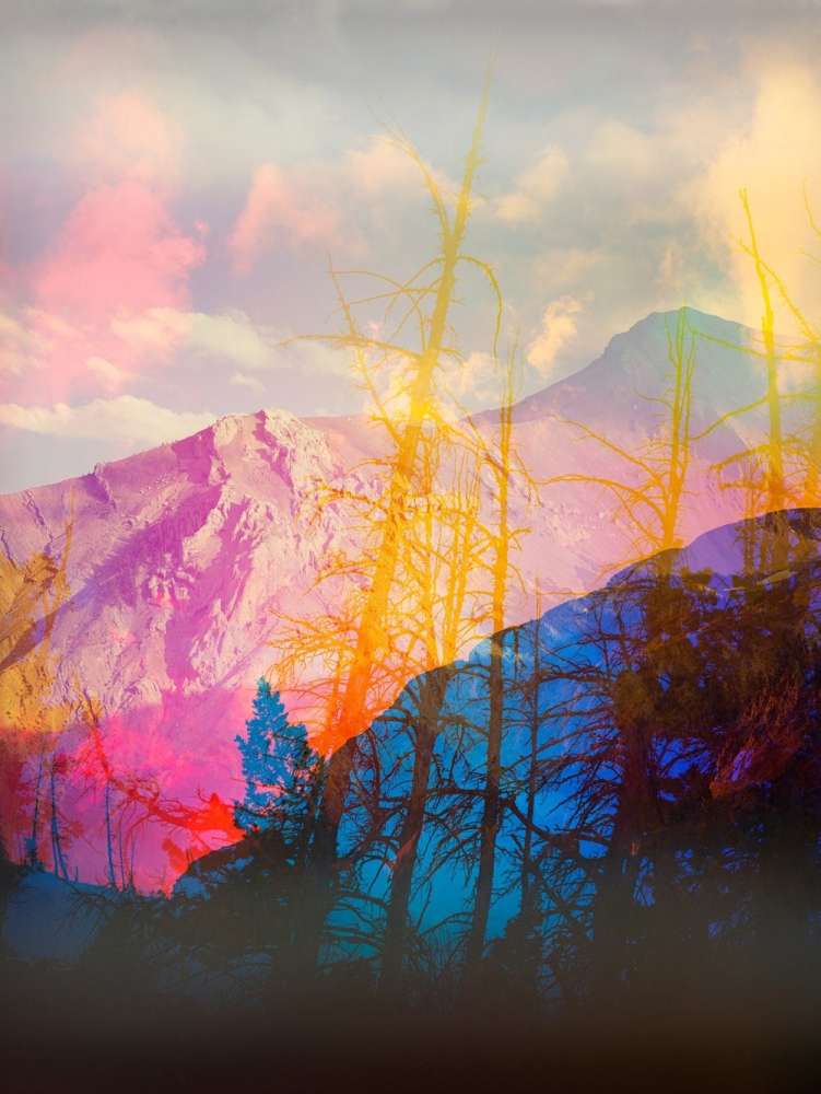 Terri Loewenthal, Old Baldy (Salish, Blackfoot / Niitsitapi ᖹᐟᒧᐧᒣᑯ, Ktunaxa amakis, Cayuse, Umatilla, and Walla Walla lands), 2023